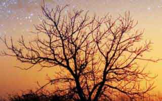 你以为爱游戏体育只是个入口，其实它可能在做虚假公告分流：4个快速避坑