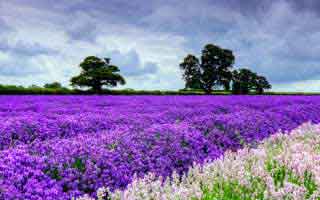 真心劝一句：99tk相关链接别乱点，尤其是扫码弹窗：一句话：先停手再处理