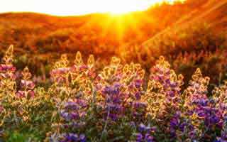 你以为爱游戏体育只是个入口，其实它可能在做虚假公告分流：4个快速避坑