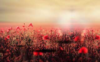 看到就关：华体会体育授权弹窗别只看图标和名字：权限别全开